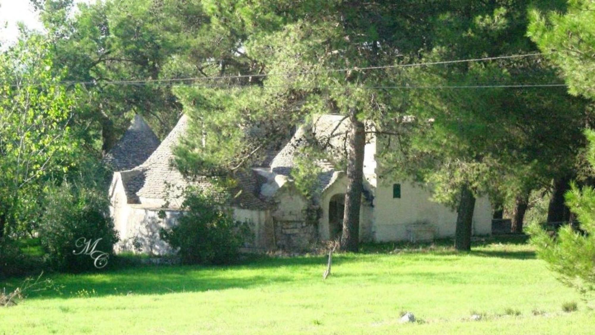 Bed and Breakfast Harry'S House Fasano Exterior foto